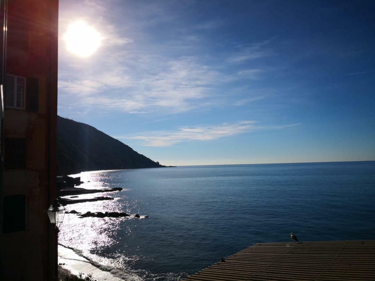 Le Finestre Sul Mare Apartment Camogli Exterior photo